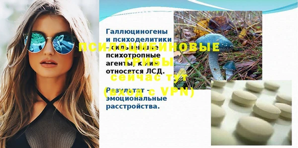 стафф Алексин