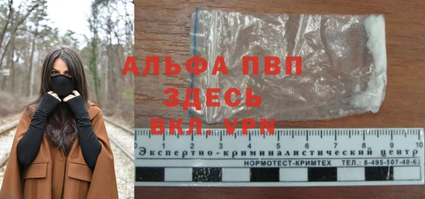 стафф Алексин